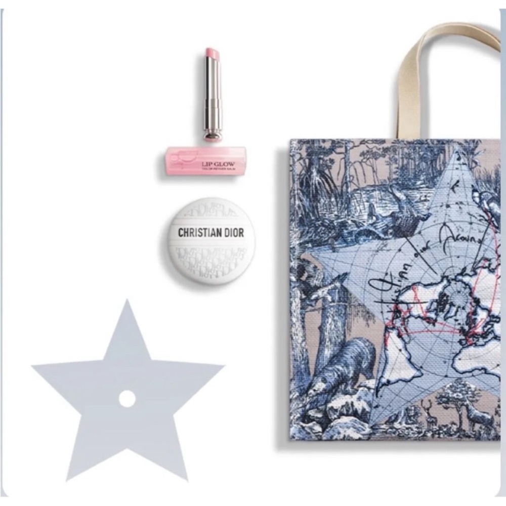 NEW Limited Edition Exclusive Dior Gift Bag Only
